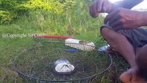 Amazing Electric Fan Guard Fish Trap - Net Fishing In The River