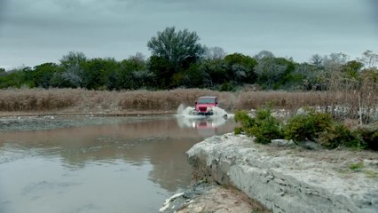 Heres our manifesto.