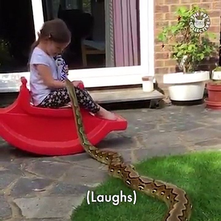 The cutest videos of the week! 