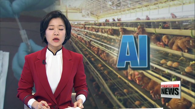 Highly pathogenic bird flu confirmed at chicken farm in Dangjin; 17th confirmed case since Nov.