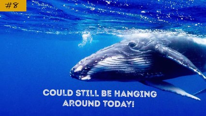 12 Facts That Change Our Perception of Time Forever