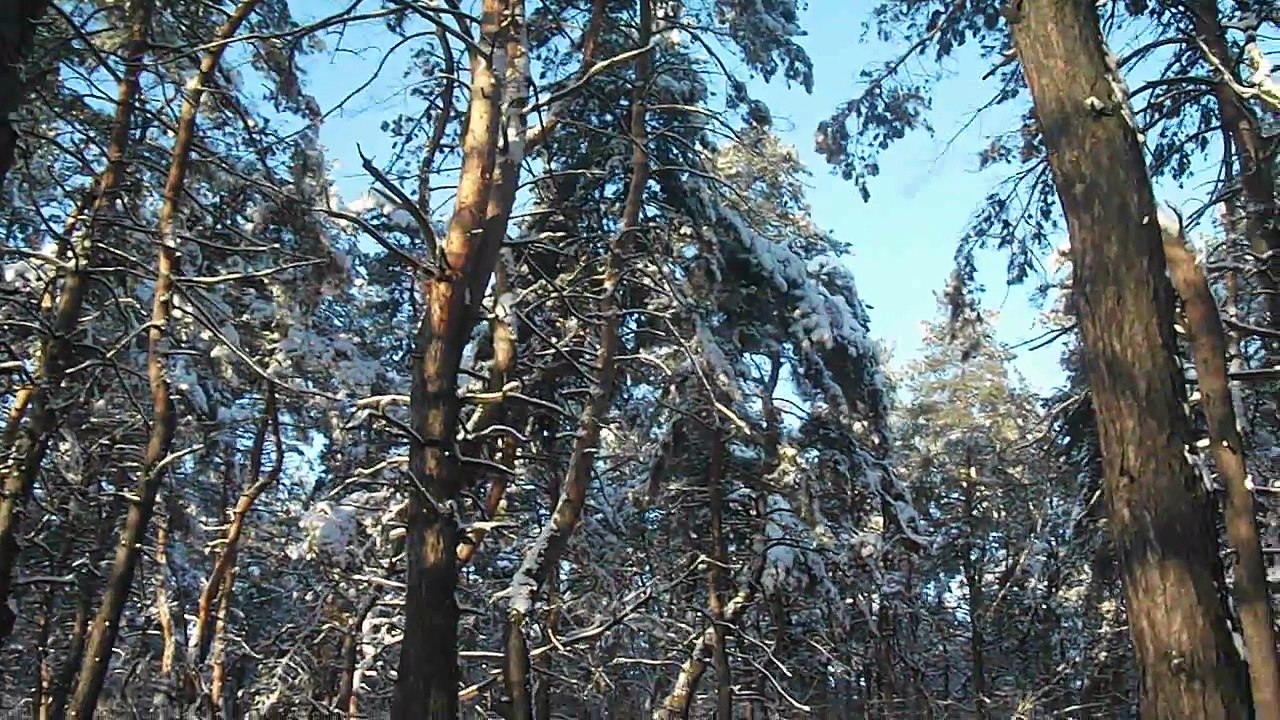 Ukraine Kharkov Grigorovsky Bor 2018