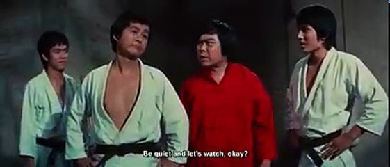 Bruce Lee Way of the Dragon Fighter