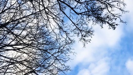 Abraham Hicks - The Secret To Feeling Good #2