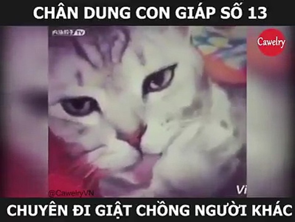 !!! chân dung con yêu nghiệt hok chỉ cướp chồng mà còn cướp ba cướp mẹ chúng ta nữa T_T