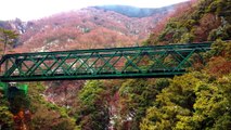ロマンスカーと箱根登山鉄道に乗りました【がっちゃん4歳】