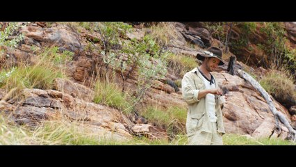 Crocodile Dundee Inspires New A$36M American Tourism Push