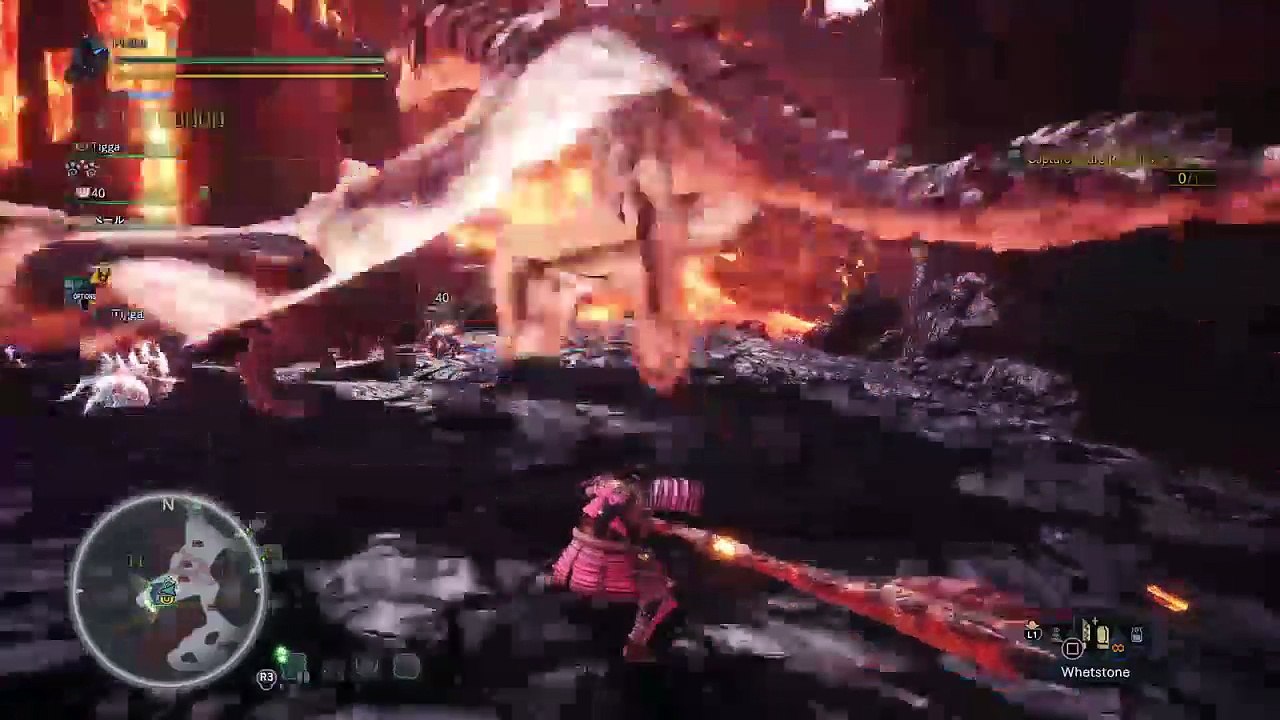 Monster hunter world (221)