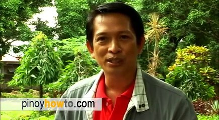 How to Raise Pigs: Baboyang walang amoy or Odorless Pigpen Episode 1