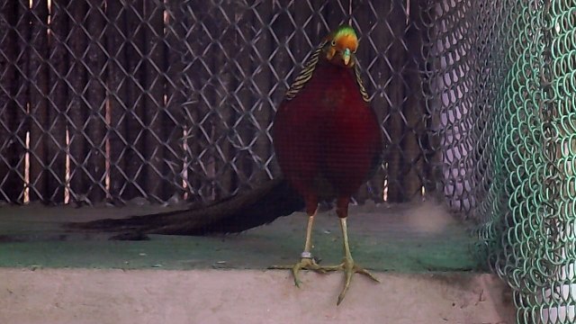 Delhi Zoo - National Zoological Park Delhi