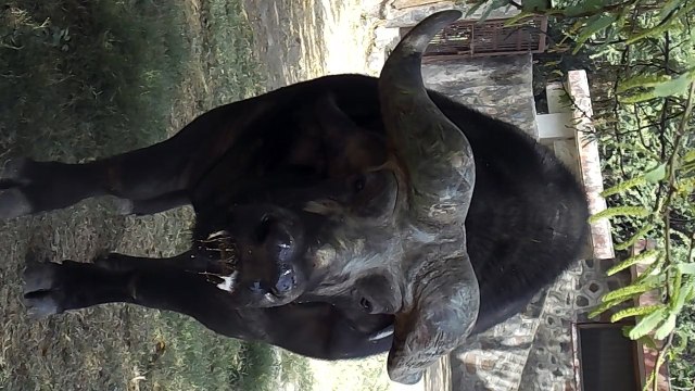 Delhi Zoo: National Zoological Park in Delhi