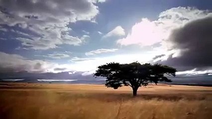 Snow Monkeys (Full Documentary)