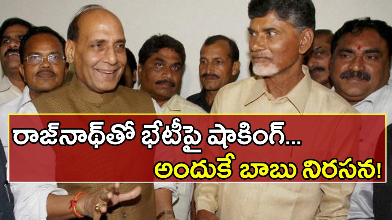 Rajnath Singh Meets TDP MPs And Saves TDP-BJP Alliance