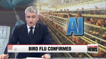 Highly pathogenic bird flu confirmed at chicken farm in Dangjin; 17th confirmed case since Nov.