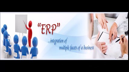 Microsoft ERP Software