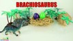 Learn Dinosaurs Name Sounds Dinosaurs - Learn Names Of Dinosaurs - #7 Dinosaur Eggs Surprise