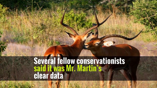 No Suspects in Killing of Eccentric American, a Kenyan Wildlife Expert