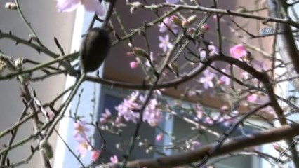 İklim Değişiklikleri Toplum Psikolojisini Bozuyor.