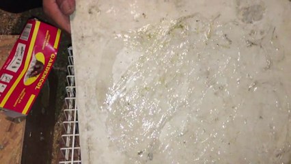 how to catch mouse traps - kako uhvatiti miseve klopka