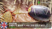 과학자들, 공룡의 피 빨아먹고 사는 고대 진드기 발견