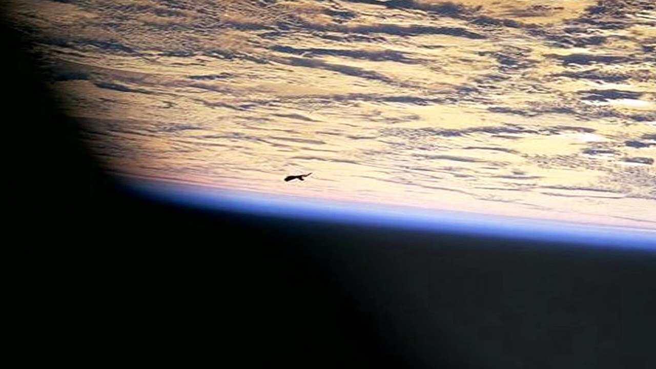 black knight satellite - alien raumschiff space ship