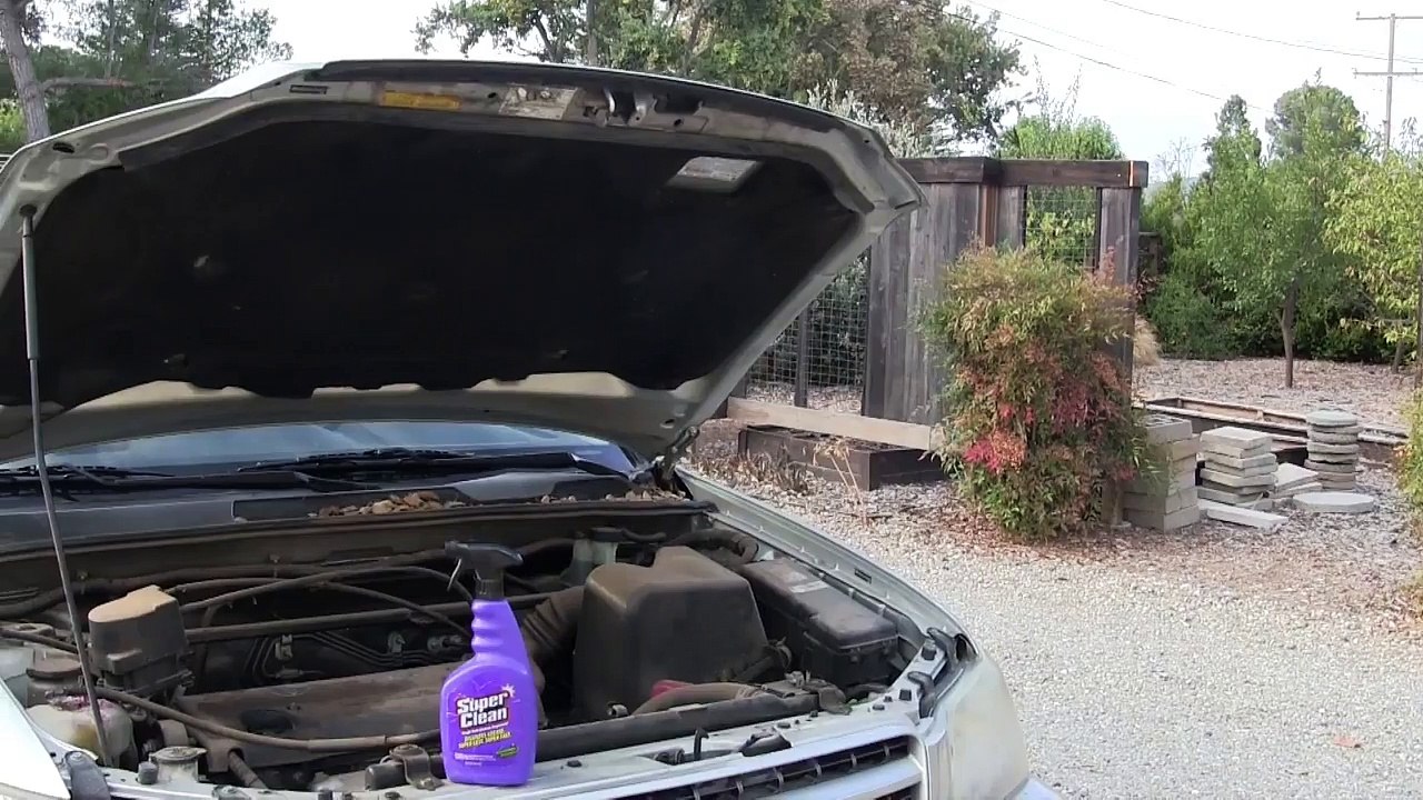 Fastest But Most Dangerous way to Detail Your Engine