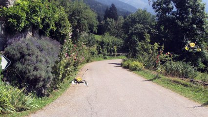 Hep ! Les abeilles... #2 - La fin de l'âge d'or