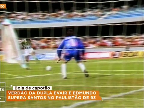 Santos 1 x 3 Palmeiras (Campeonato Paulista 1993)