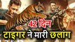 Salman Khan की Tiger Zinda Hai ने Box Office पर लगाई छलांग, 42nd Days  में Collection हुआ इतना