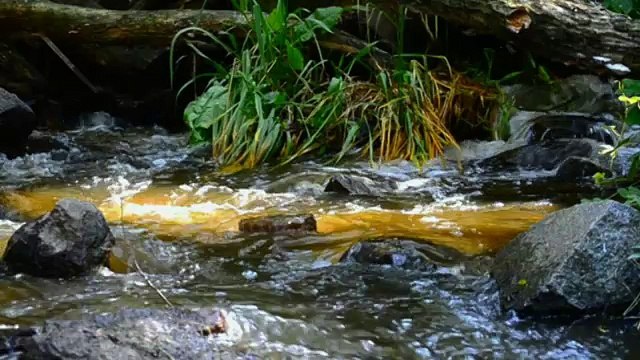 Oxford Discover Level 2 Big Question 2 How Do Things Change 2