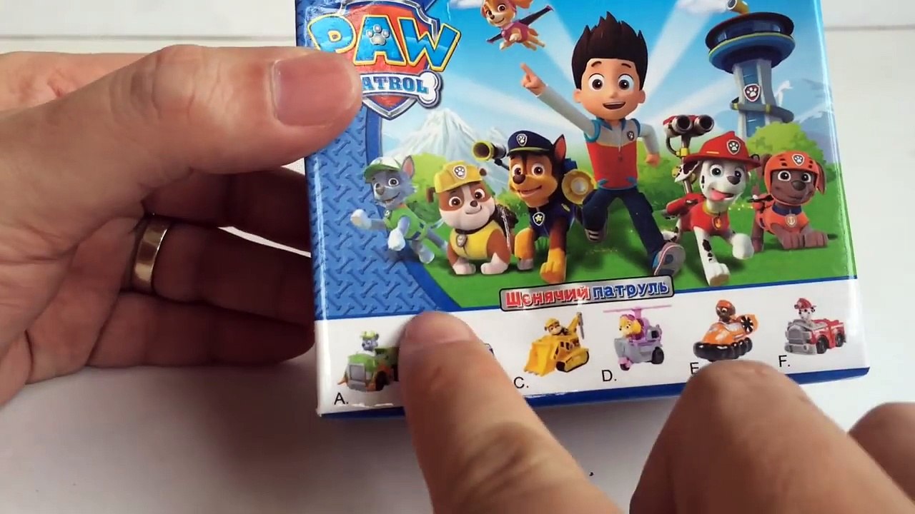 11 Paw Patrol Racers Chase Marshall Rocky Rubble Zuma Skye Everest Ryder Robo Dog Rescue Marshall Sp