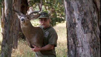 Qui veut son animal empaillé ? Publicité.. pour un taxidermiste !!