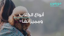 أنواع الكلاب