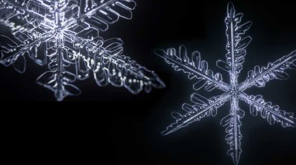 La naissance d'un flocon de neige, un spectacle hypnotisant !