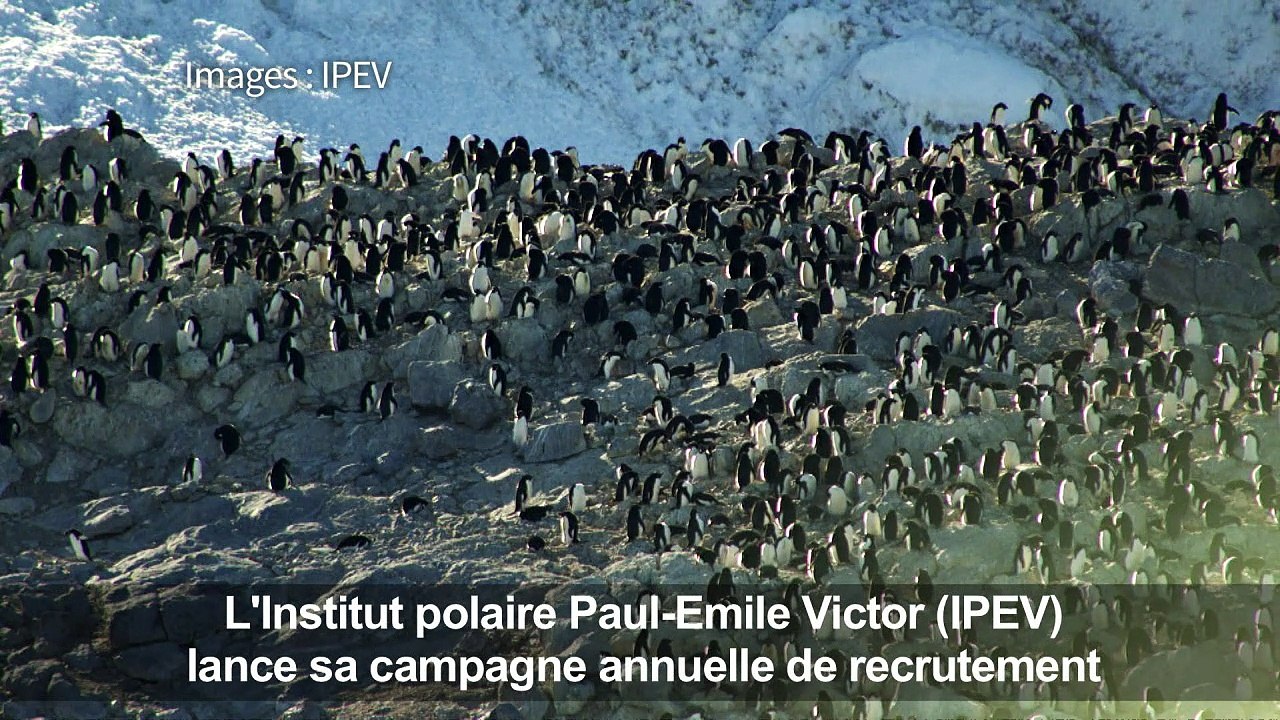 L'Institut polaire français recrute pour l'Antarctique