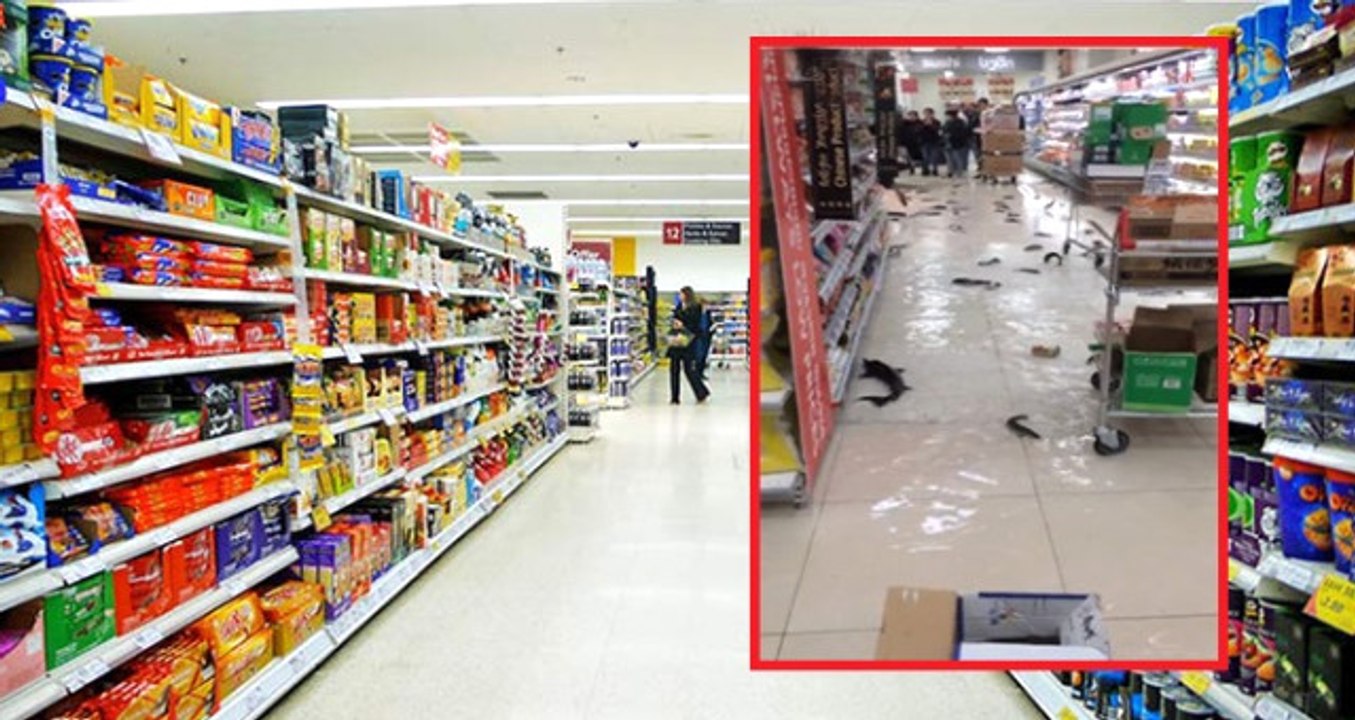 Markette Korku Filmi Gibi Anlar! Akvaryum Kırılınca Balıklar Yerlere Saçıldı