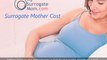 Surrogate Mother Cost & Surrogacy Journey