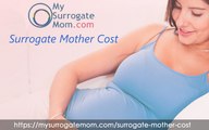 Surrogate Mother Cost & Surrogacy Journey
