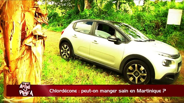 ATPA 07 02 18 CHLORDECONE MANGE SAIN LOUIS DANIEL BERTOME OK