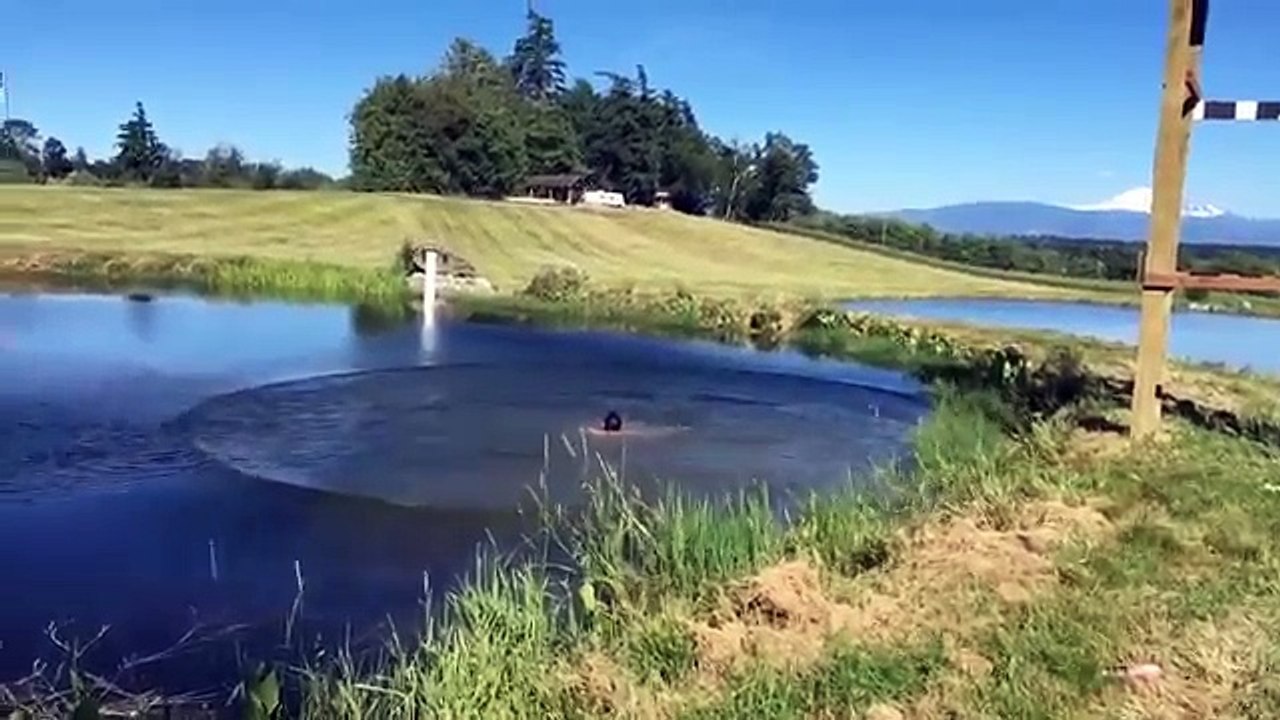 Best Fails of JANUARY 2017 | Funny Fail Compilation