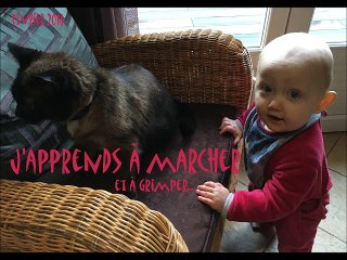 J'apprends à marcher et à grimper...