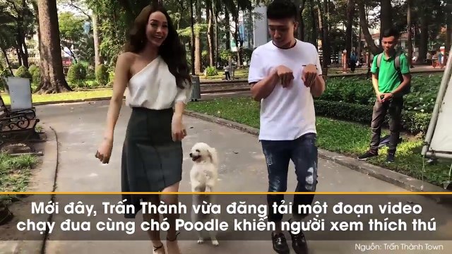 Chú chó Poodle khiến Minh Hằng khâm phục khi chạy đua 2 chân ngang với Trấn Thành