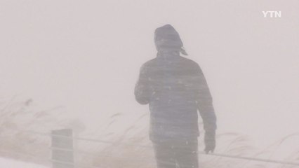 [영상] 강한 눈보라에 제주공항 한때 마비 / YTN