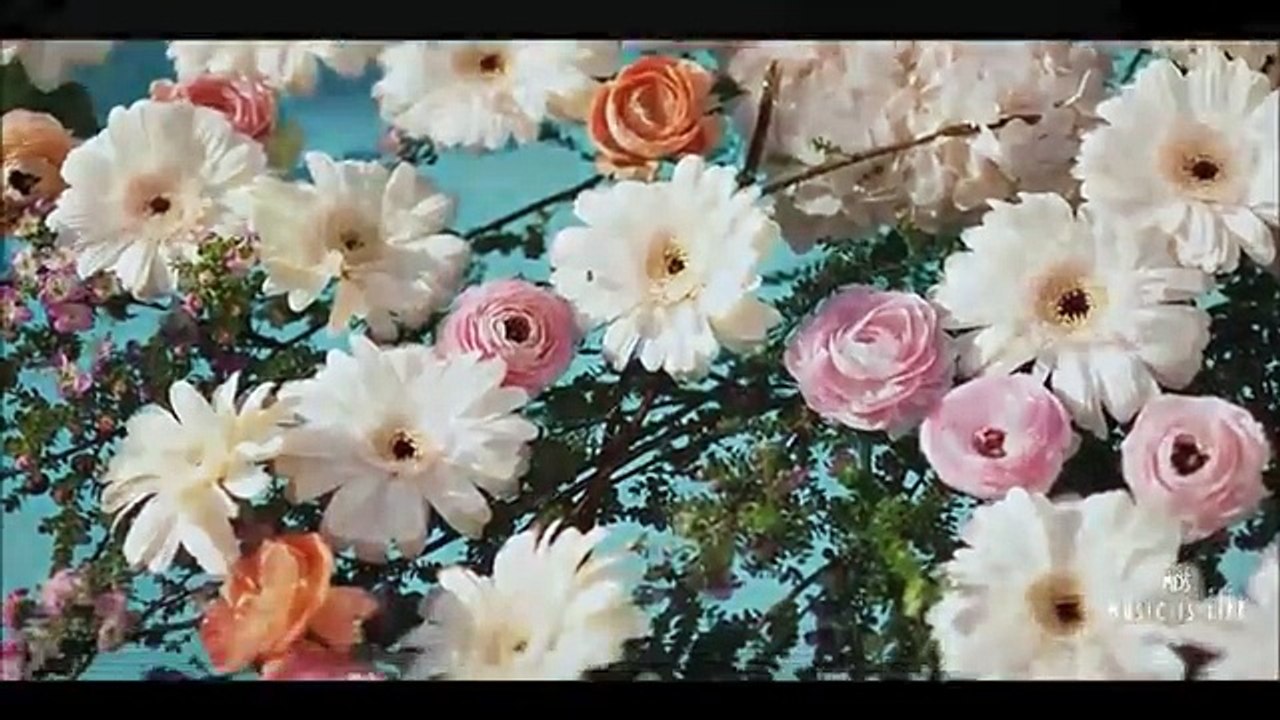 Sasha Primitive - Lost In My Freeway (Original Mix)(Video Edit)