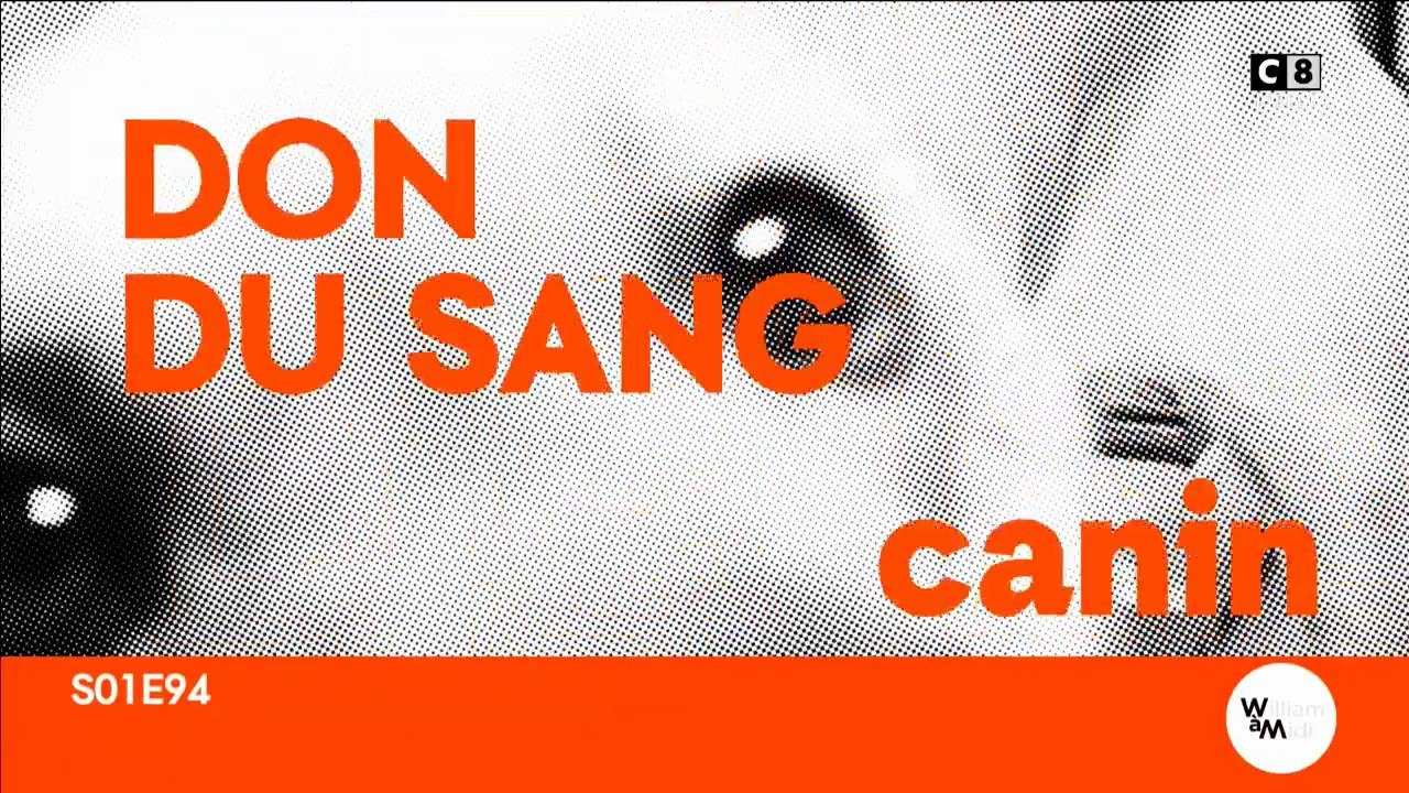 Don du sang canin