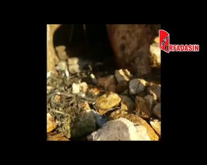 Urfa’da At Mağara Çukuruna Düştü