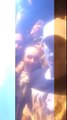 Fan taken video of Justin at the airport in Cologne, Germany (october 24)