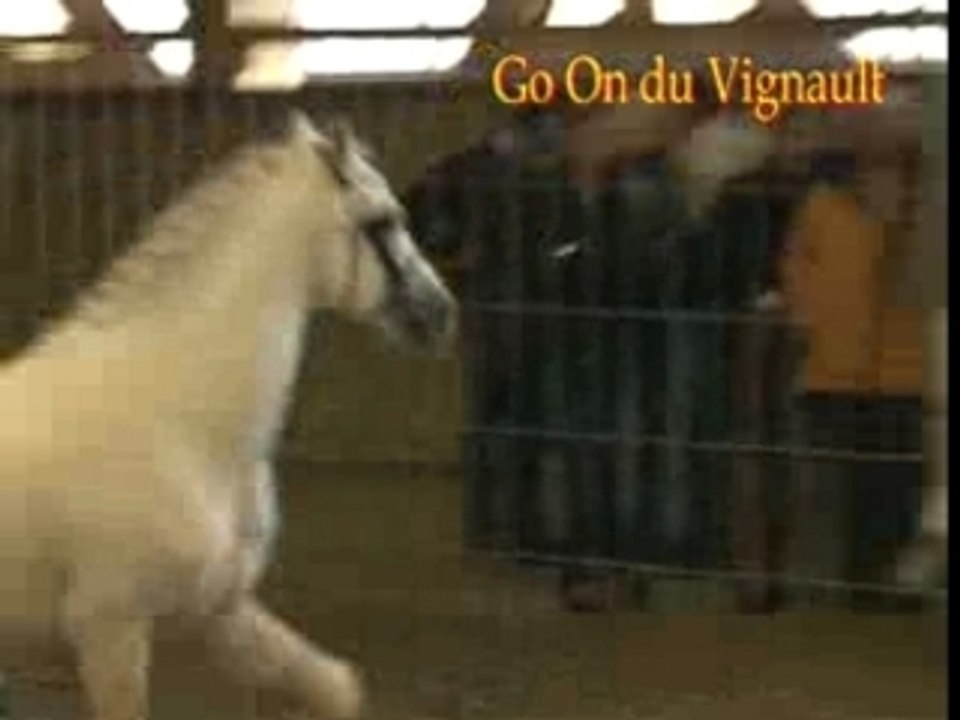 Go On du Vignault