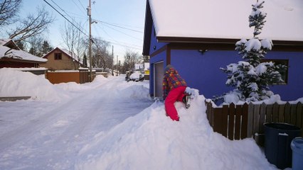 luge dans la back alley