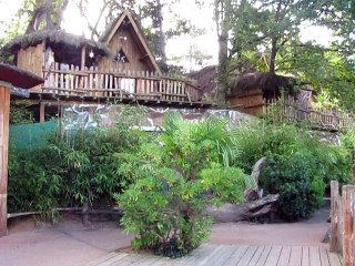 La Flèche-Zoo-Lémuriens (12)